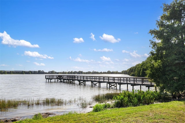 dock area with a water view