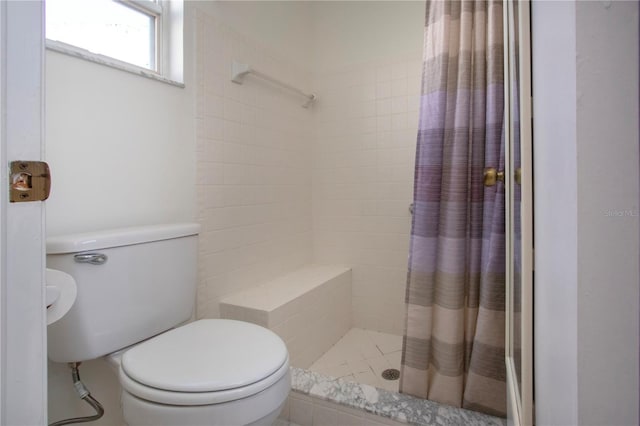 bathroom with toilet and a shower with curtain