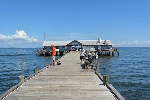 dock area with a water view