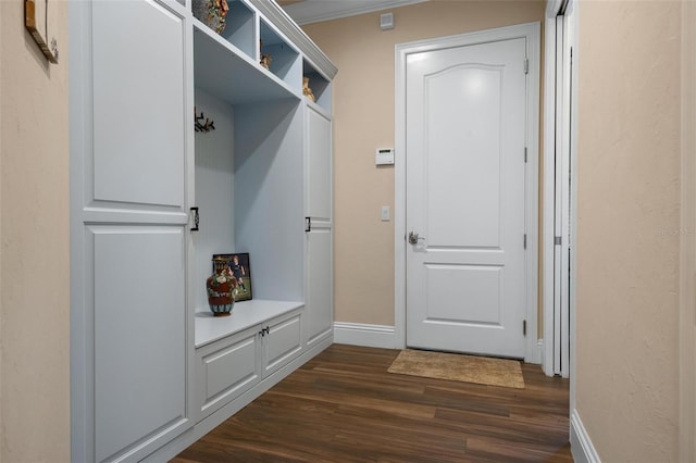 mudroom with dark wood-type flooring and ornamental molding