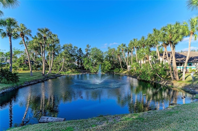 view of water feature