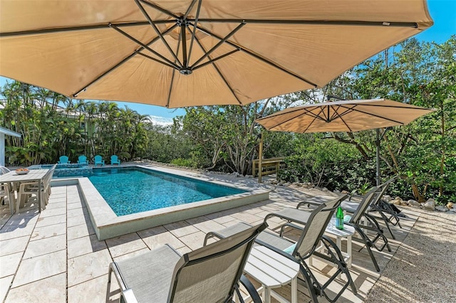 view of pool featuring a patio area