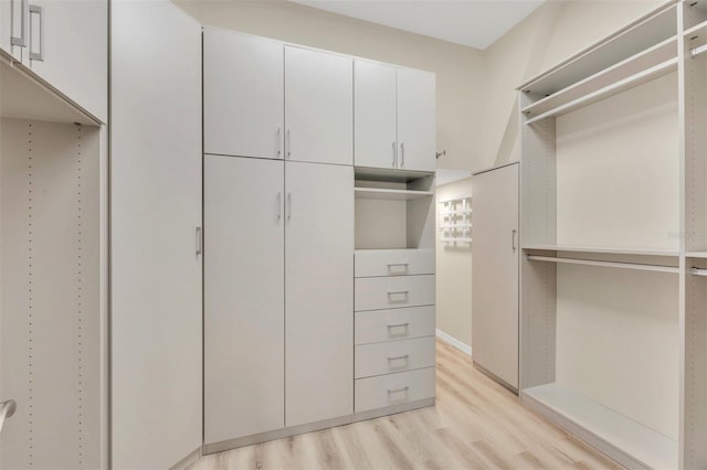 spacious closet featuring light hardwood / wood-style flooring