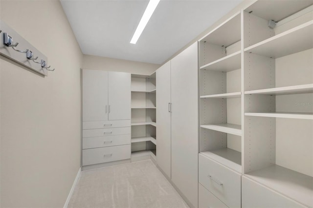 spacious closet with light colored carpet