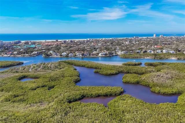 bird's eye view with a water view