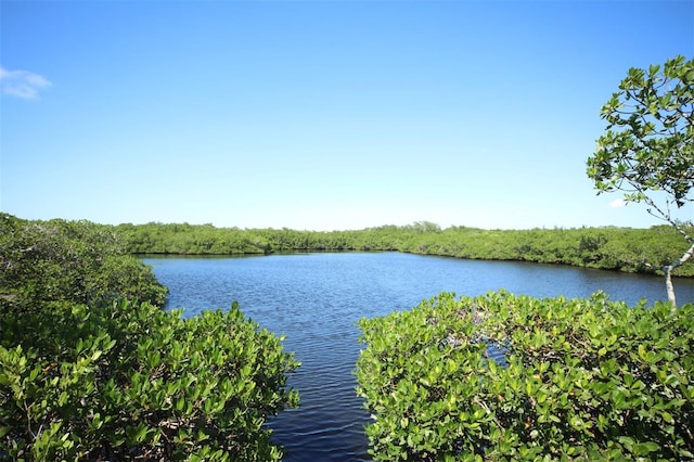 property view of water