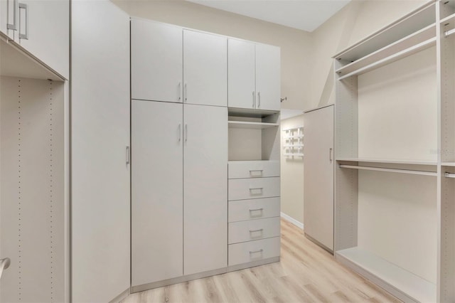1719 Starling Dr Unit 1719, Sarasota, FL 34231 - walk in closet with light wood finished floors