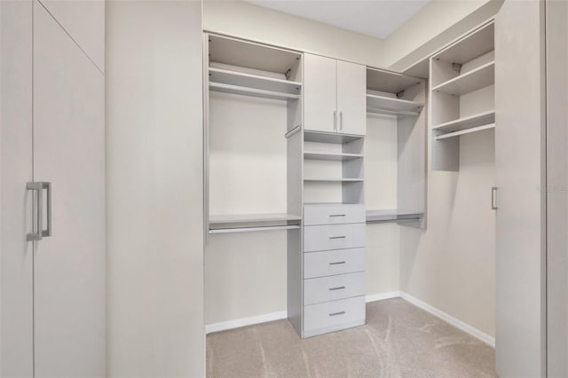 1719 Starling Dr Unit 1719, Sarasota, FL 34231 - spacious closet with light colored carpet