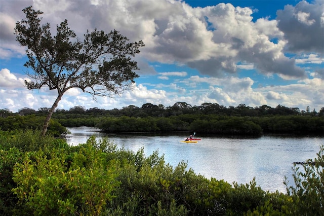 1719 Starling Dr Unit 1719, Sarasota, FL 34231 - water view featuring a forest