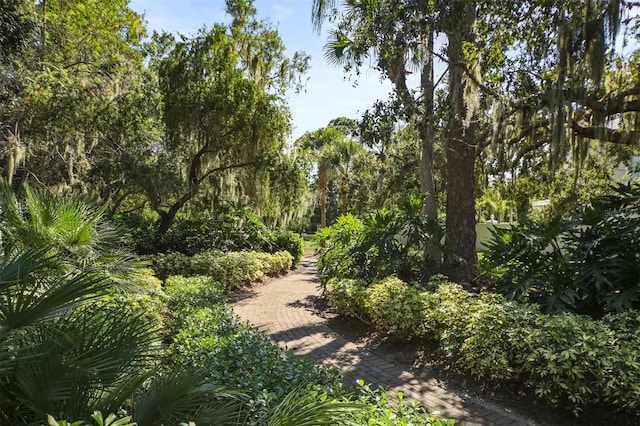1719 Starling Dr Unit 1719, Sarasota, FL 34231 - view of property's community