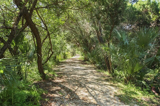 1719 Starling Dr Unit 1719, Sarasota, FL 34231 - photo 56