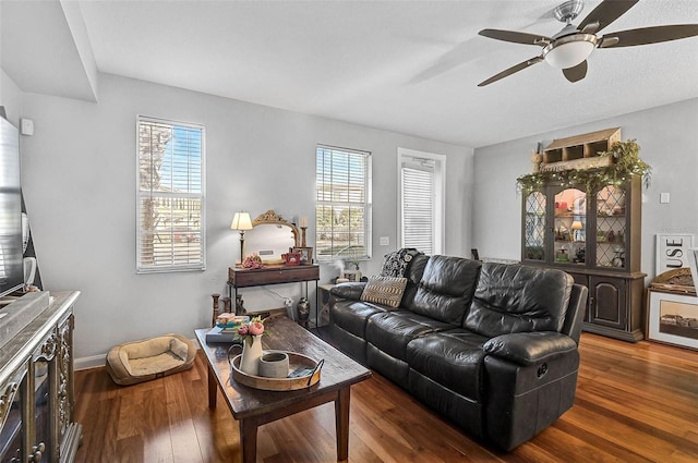 living room with plenty of natural light, a ceiling fan, and wood finished floors