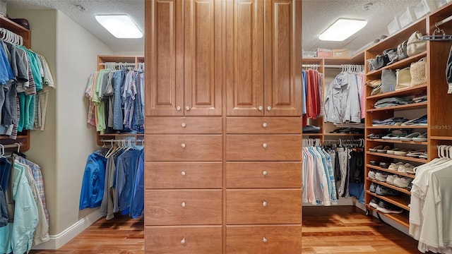 spacious closet with light wood-style flooring