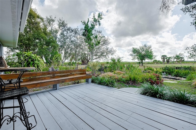 4939 Myakka Valley Trl, Sarasota, FL 34241 - photo 21