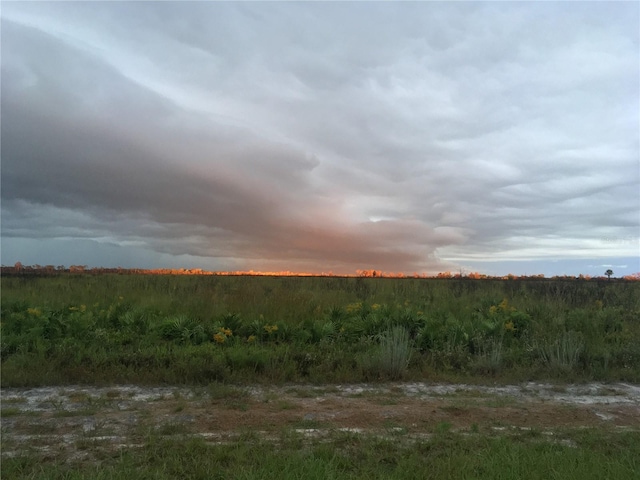 4939 Myakka Valley Trl, Sarasota, FL 34241 - photo 94