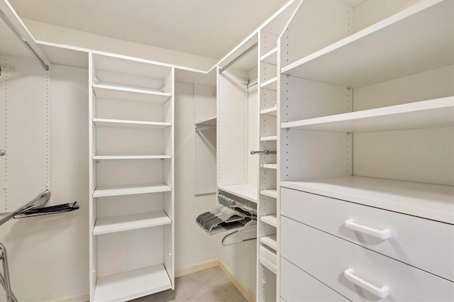 view of spacious closet