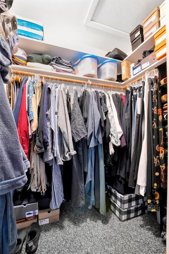 spacious closet with carpet flooring