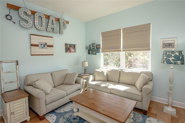 living room with wood-type flooring