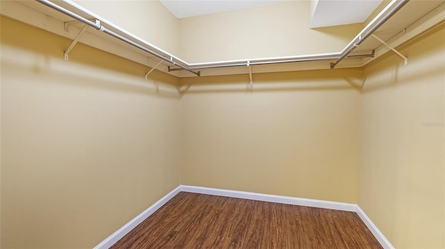 spacious closet with wood-type flooring