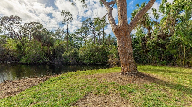 view of yard with a water view