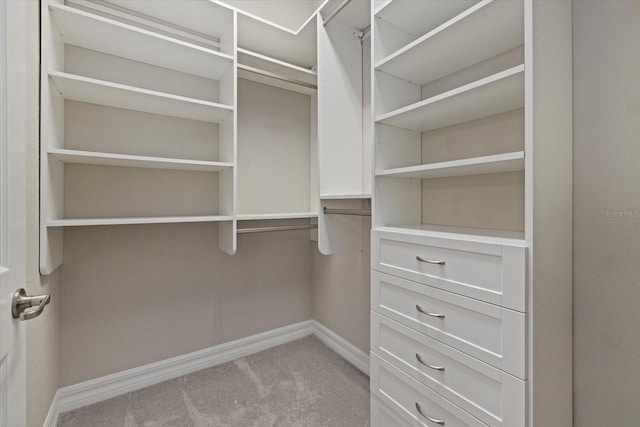 walk in closet featuring carpet flooring