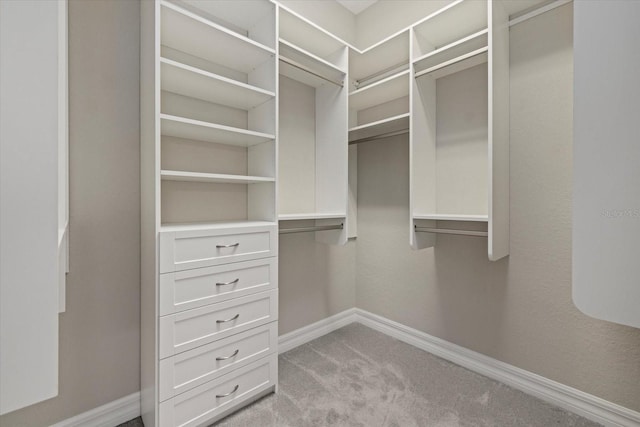 walk in closet with light colored carpet