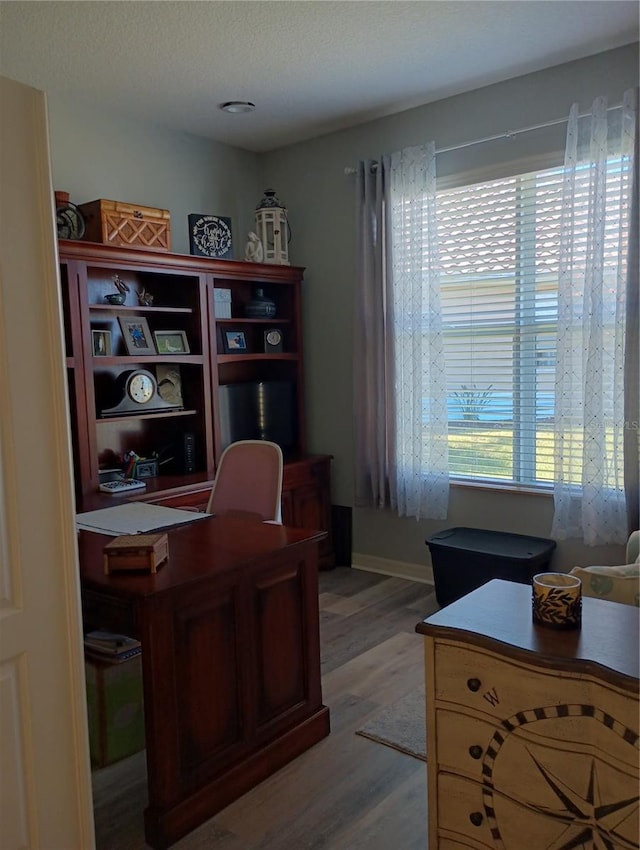 office with wood-type flooring