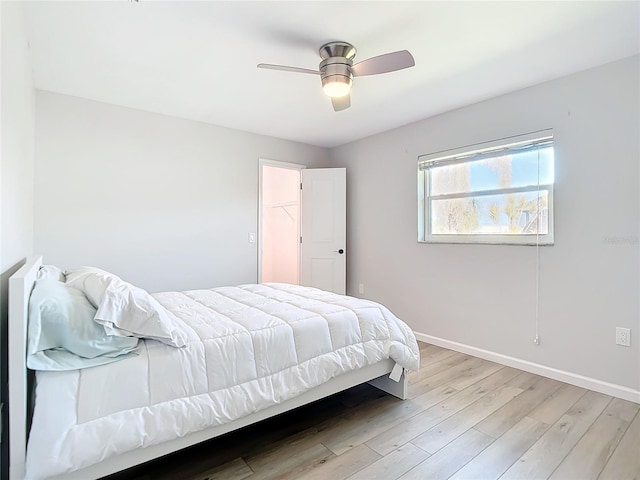 bedroom with ceiling fan, a walk in closet, and light wood-type flooring