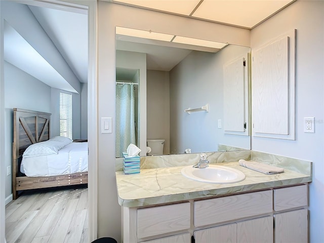 bathroom with vanity, hardwood / wood-style floors, and toilet