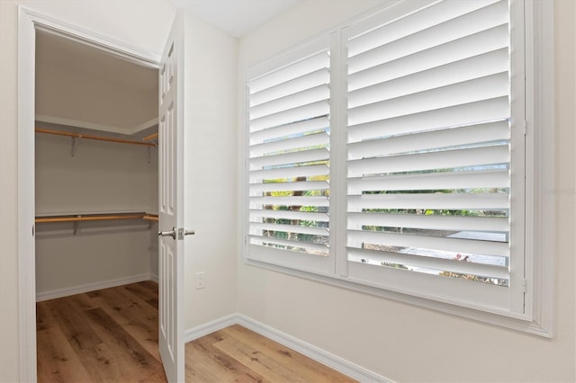 walk in closet with wood-type flooring