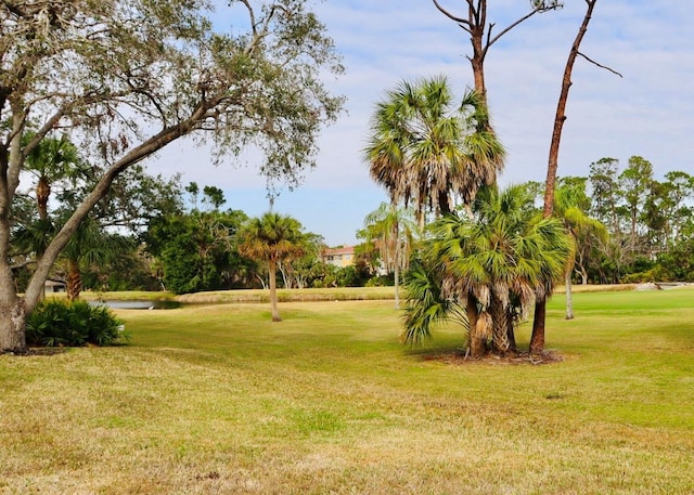 view of property's community with a lawn