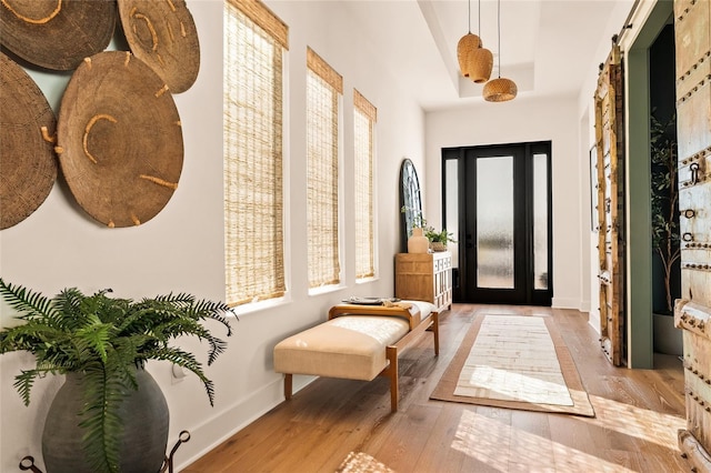 entrance foyer with light wood-type flooring, baseboards, a tray ceiling, and a barn door