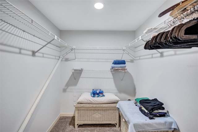 spacious closet featuring carpet floors