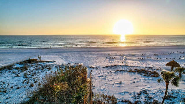 property view of water featuring a beach view