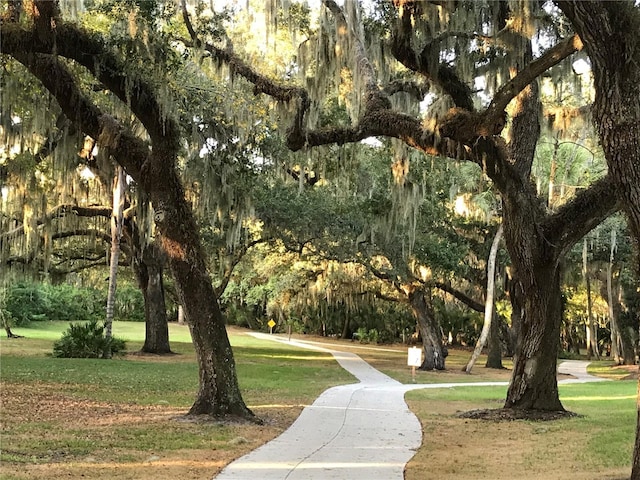 view of property's community with a yard