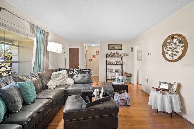 living room with hardwood / wood-style flooring