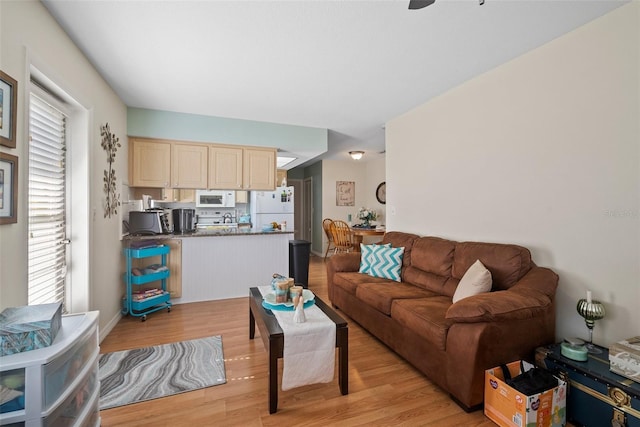 living room featuring a healthy amount of sunlight and light hardwood / wood-style flooring