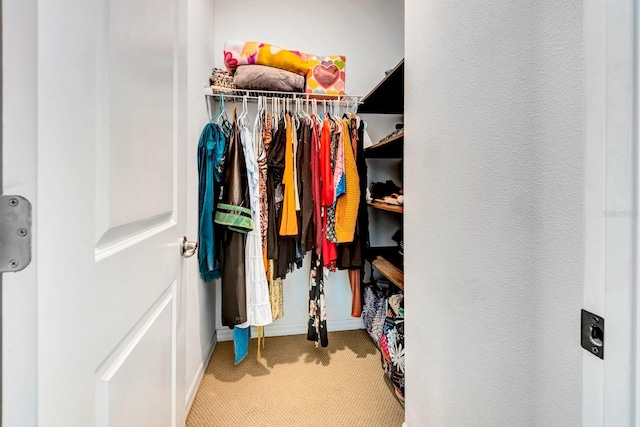 walk in closet featuring carpet floors