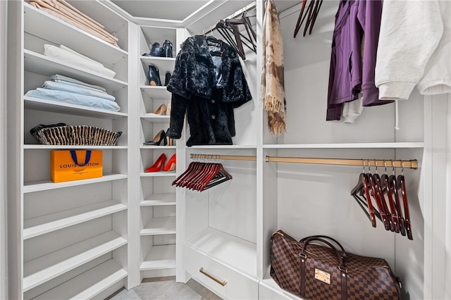 view of spacious closet