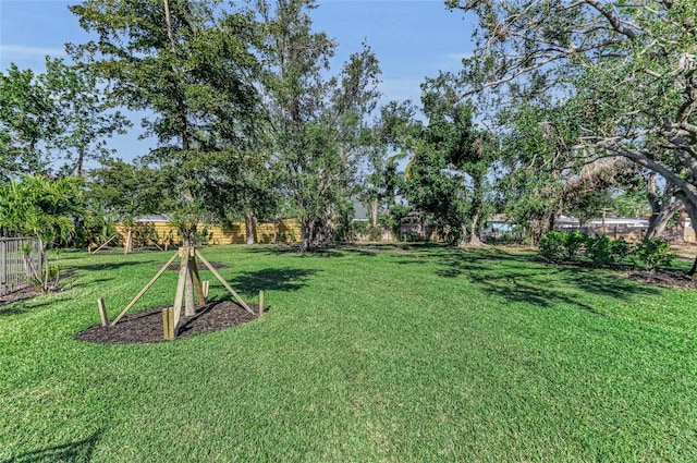 7820 Seville Cir, Bradenton, FL 34209 - view of yard