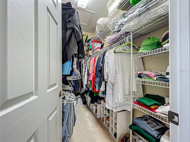 walk in closet featuring carpet