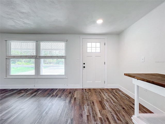 foyer entrance featuring dark hardwood / wood-style flooring