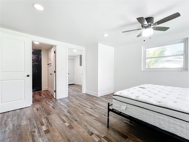 unfurnished bedroom featuring wood-type flooring, a walk in closet, ceiling fan, and a closet