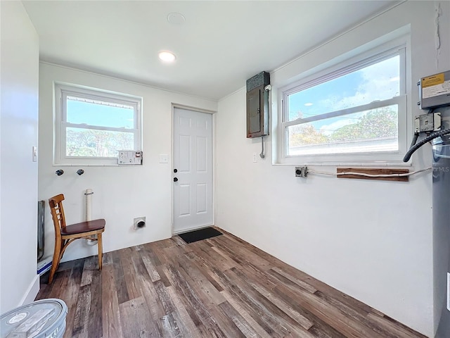 clothes washing area with hookup for an electric dryer, dark hardwood / wood-style floors, a wealth of natural light, and electric panel