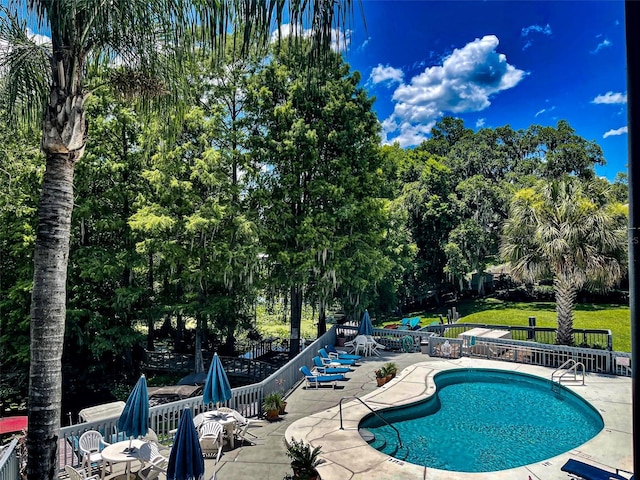 view of swimming pool featuring a patio area