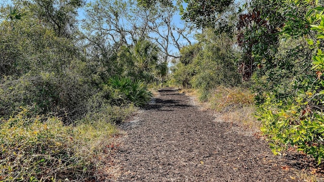 view of road