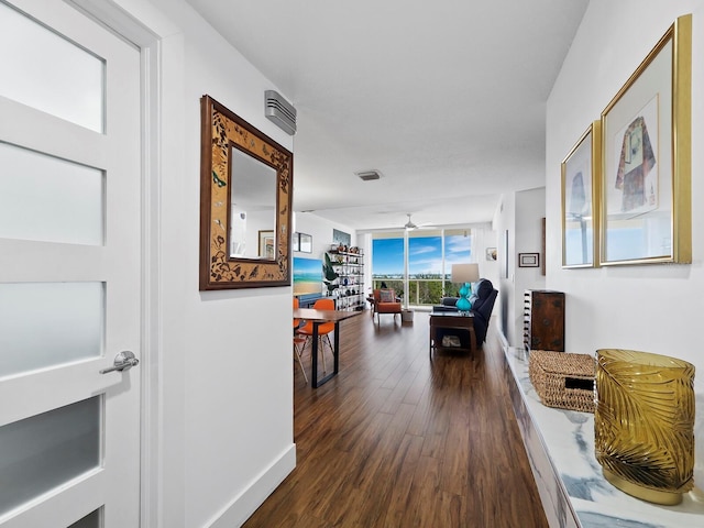 hallway with dark hardwood / wood-style flooring