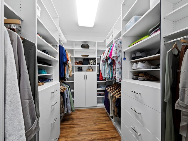 spacious closet featuring wood-type flooring