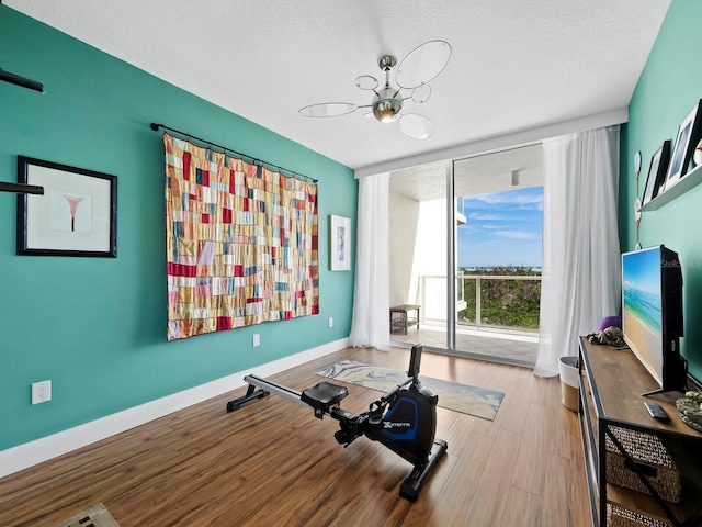 exercise area with light hardwood / wood-style flooring and expansive windows