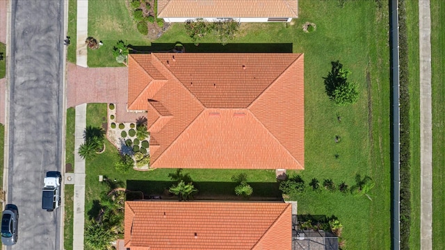 drone / aerial view